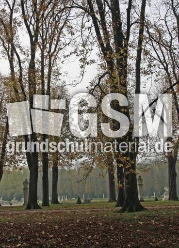 Herbststimmung-23-10-09 022.jpg